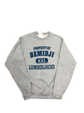 Property of Bemidji Lumberjacks